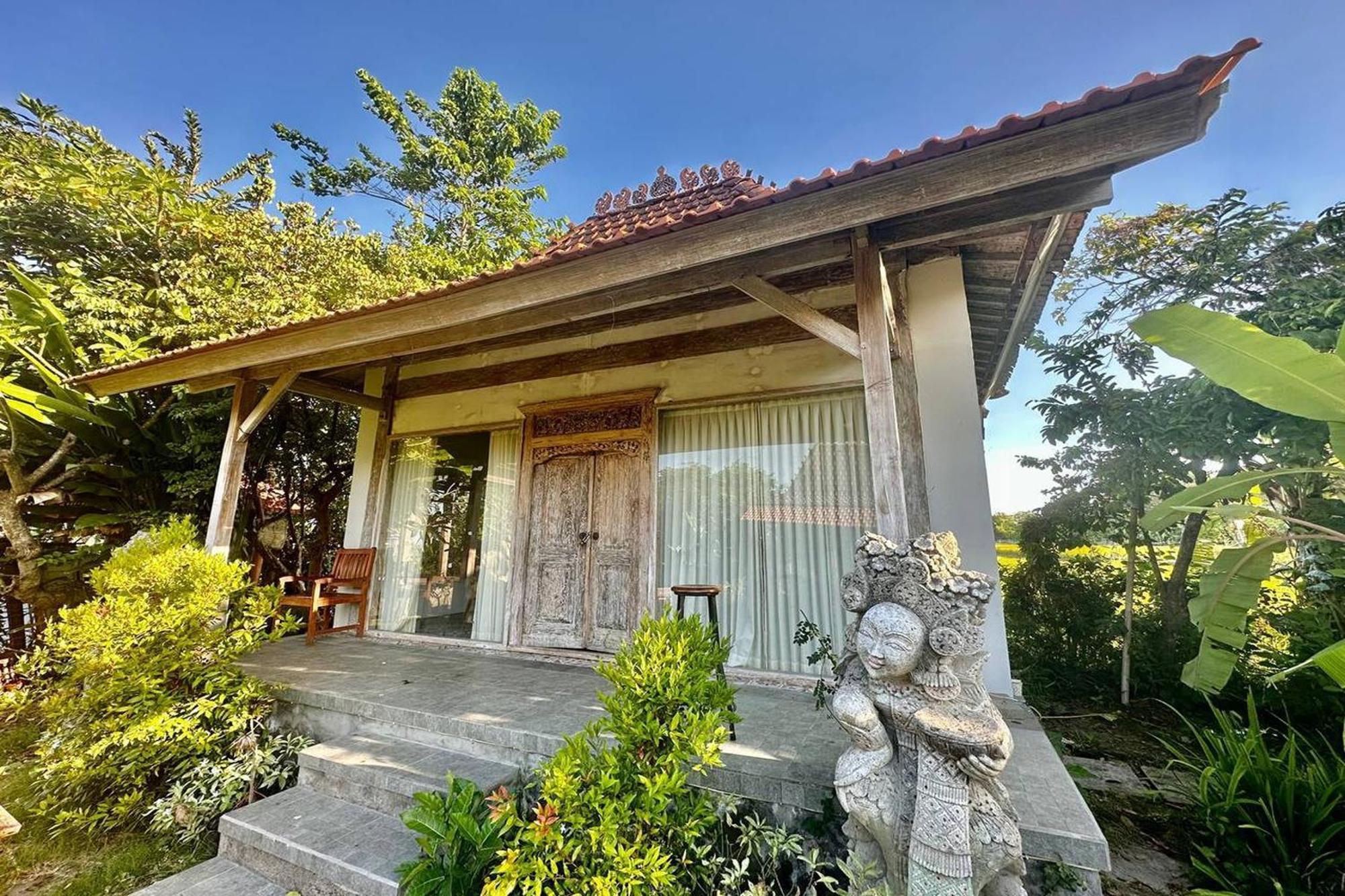 Bali Eco Living Yoga Healing Meditation And Retreat Center Hostel Denpasar  Exterior photo